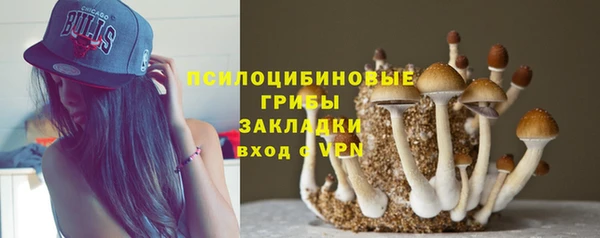 метамфетамин Богородицк