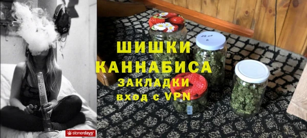 мдпв Богданович