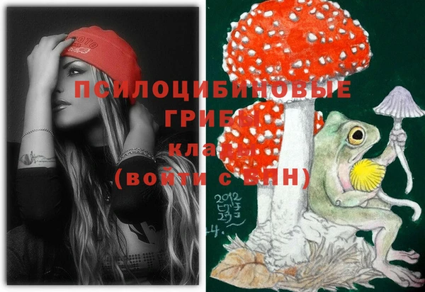 Альфа ПВП Бугульма
