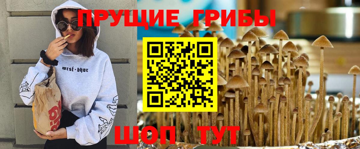 Псилоцибиновые грибы мицелий  Галлюциногенные грибы мицелий  Острогожск  Вход с VPN 
